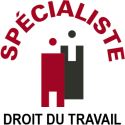 Icône de spécialiste du droit du travail